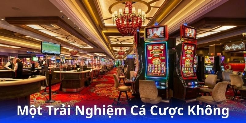 98win: Chơi Cược An Toàn, Rút Tiền Nhanh Chóng 2 mot-trai-nghiem-ca-cuoc-khong-gioi-han